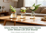 6PCS Plants Propagation Stations, Desktop Glass Propagation Vases with Wood Lid and Stand, V1192-AZ-W-18296