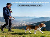Retractable Dog Leash with Locking Button for Small and Medium Dogs up to 50 kg, 5 Meters, Black V1237-ZY-917-231