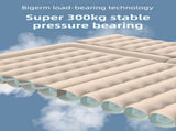 Beige Multi-Chamber Car Inflatable Air Mattress with Electric Pump, Storage Bag & Pillows for V888-ELOSUNG45656