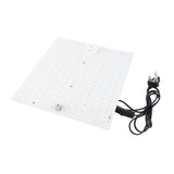 Full Spectrum LED Plant Grow Light Home Succulent Color Indoor Green Plant Flower Replacement Lights V1294-YM0901-L6915UK-2
