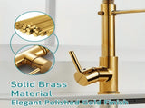 Polished Gold Faucet with Pull Down Sprayer,Single Handle Spring Single Hole Faucet for V1366-AZ2-W-08163
