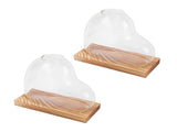 2PCS Propagation Vases Heart Shaped Glass Desktop Planter Plant Propagation Station for Small V1294-YM0901-3115260004711