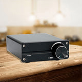 100W D100 TPA3116 Digital Power Amplifier Single Sound Channel Class D Desktop Subwoofer for Home V1370-AZ4-07886