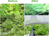 Fine Mesh Garden Insect Net for Plants and Vegetables, Protective Greenhouse and Birdcage Netting, V1189-LC-HW-00175