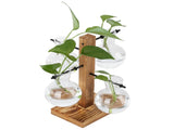 Innovative Hydroponic Vase with Wooden Stand Transparent Desktop Flower Vase for Home V1294-YM0714-3111210271911