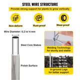 Tomato Cages, 30 x 30 x 117 cm, 5 Packs Square Plant Support Cages, Silver PVC-Coated Steel Tomato V952-FXKZDFQZZ1246265OV0
