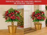 Christabelle 36cm Christmas Tabletop Topiary with Berries Baubles & Pine Cones 112_GUE504