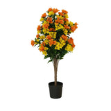 Flowering Yellow and Orange Bougainvillea Tree 90cm UV Resistant V637-DP29660