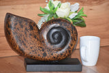 Decorative hand carved wooden shell on stand V277-DHCWS