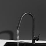 Cefito Kitchen Mixer Tap Pull Out Round 2 Mode Sink Basin Faucet Swivel WELS Black TAP-A-82H52-BK