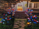 Red White and Blue Lights, Red White and Blue Star Lights, Americans Independence Day Red White Blue V1370-AZ4-18544
