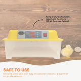 Electric 24 Egg Incubator Accessories Hatching Eggs Chicken Quail Duck V238-SUPDZ-33453377798