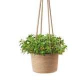 2PCS Braided Plant Basket Hanging Plant Pots Plant Hanger Plant Basket Wall Decoration Flower Pots V1294-YM0717-10071364
