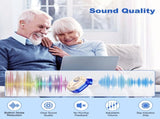 Rechargeable In-the-Ear Hearing Aids with Charging Case and LCD Display Ultra-Compact Sound V1107-CS-HLCHL