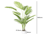 Lambu Artificial Tree Palm Fake Leaves Large Artificial Plants Indoors 180cm UM1267-6FT-AU