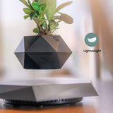 GOMINIMO Magnetic Levitating Plant Pot Black V227-3720101000990