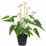 Artificial Flowering White & Pink Peace Lily / Calla Lily Plant 50cm V637-DP1128564