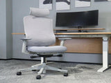 Lifespan Fitness DM8 Ergonomic Office Desk Chair V572-LFOC-DM8G