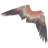 1Pc Unique Cosplay Wing Made of Non Woven Material for Adult Performance and Carnival V1370-AZ4-18380