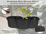 Tutuviw Non Woven Tree Ring, 24.4 inches Round Tree Base Weed Barrier Fabric Cover, Degradable and V1189-WXFWAL-20260319-00121