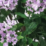 Flowering Lilac Crepe Myrtle Tree 120cm UV Resistant V637-DP29661