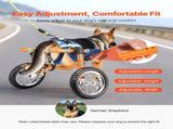 Dog Wheelchair for Back Legs, Lightweight 2 Wheels Pet Wheelchair, Height, Width & Length V952-CWLYLLSTDHXL2W9B4001V0