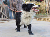 Dog Suspender, Tall Dog Anti-Slip & Fall Waterproof Shoes Leggings, Adjustable Suspender V1366-AZ2-W-01810