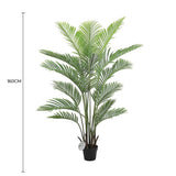 Premium Artificial Areca Palm Tree Real Touch 160cm V637-1016107N