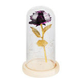 LED Rose Bedside Lamp Glass Night Light Birthday Gift Home Decoration V1294-YM0901-ZM03129-02
