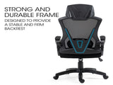 FORTIA Ergonomic Office Desk Chair, Height Adjustable Lumbar Support, Mesh Fabric, Headrest, Black V219-OFFOCRFOE1KA