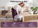 Giselle Queen Euro Top Mattress Firm Pocket Spring Edge Support MATTRESS-E-LAVENDER-35-Q