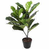 Artificial Fiddle Fig Tree 70cm V637-DP1016121