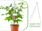 White Iron Potted Plant Climbing Trellis for Garden Decoration V1366-AZ2-W-18907