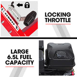 BAUMR-AG 15HP Commercial Petrol Tree Stump Grinder V219-STGPTLPLTB300