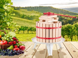Fruit Wine Press Manual Press for Wine Making 3.2 Gal/12L Wood Basket V952-GJYZJLSSM12LGR2A1V0