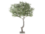 Nearly Natural Extra Large Olive Tree with Olives 285cm V637-DP1223753
