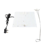 Full Spectrum LED Plant Grow Light Home Succulent Color Indoor Green Plant Flower Replacement Lights V1294-YM0901-L6915UK-1