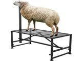Goat & Sheep Stand, 47x23 inch Livestock Stand, Metal Livestock Milking and Shearing Stand 21" to V952-SCXJJHSYTM47HMU08V0