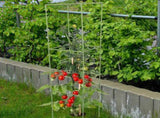 Weather Resistant Fiberglass Tomato Stakes with Square Trellis Frame for Garden Support, 1 Set V1370-AZ4-10806