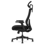 Lifespan Fitness DM9 Ergonomic Mesh High Back Office Chair V420-LFOC-DM9BK-1