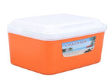 5L Portable Cooler Box Large Capacity Multifunctional Keeps Food Freshness and Drink Cool Insulated V1294-YM0901-3111240172013