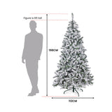 Christabelle 198cm feet Artifificial Christmas Tree - Snowy Emperor 112_BHZSE65