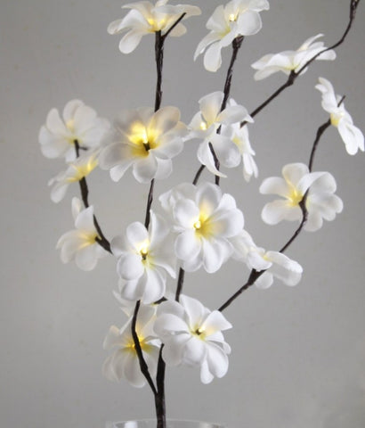 1 Set of 50cm H 20 LED White Frangipani Tree Branch Stem Fairy Light Wedding Event Party Function V382-WHFRANGISTEMBATT