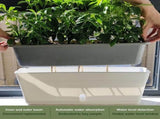 Rectangular Self Watering Planter, Plastic Window Box Planter with Water Level Indicator, Long V1366-AZ2-W-19709