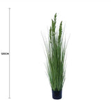 Flowering Native Grass 120cm V637-DP1018921