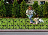 5-Piece Decorative Garden Fence Black Metal Wire Patio V767-XJJ516-BK-G2