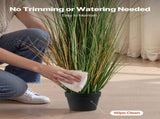 Artificial Grass Plant, 2 Pack 1194mm Reed Flower Grass in Pot, Premium PVC Faux Fake Greenery V952-DPKLWHLS47INM48C5001V0