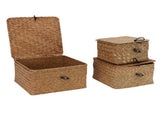 3 Pcs Hand Woven Storage Box Stationery Snacks Jewelry Storage Woven Basket with Lid for Home V1294-YM0901-3115250090311