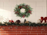 24 Inch Christmas Eucalyptus Red Berries for Front Door, Winter Green Eucalyptus Leaves V1258-DP02-C-2698