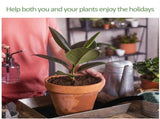 Automatic Plant Watering Mat, Thick Self Watering Capillary Mat Wicking Mat with 10 Pcs Plant V1369-AZ3-W-01584